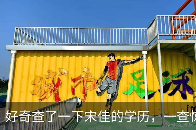 好奇查了一下宋佳的学历，一查惊呆了！她根本不是科班学表演出身的，而是学柳琴的